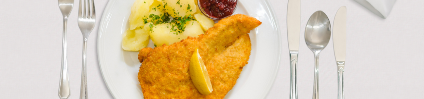 PUTENSCHNITZEL Banner