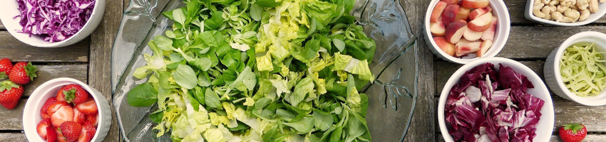 FRISCHE SALATE Banner